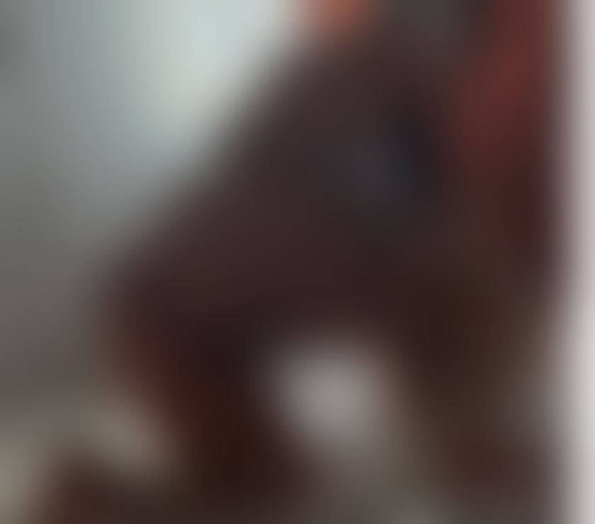 Escorts South Lanarkshire Hamilton - South Lanarkshire - Photos for 💋100% GENUINE PHOTOS!! WHAT YOU SEE IS WHAT YOU GET 💋