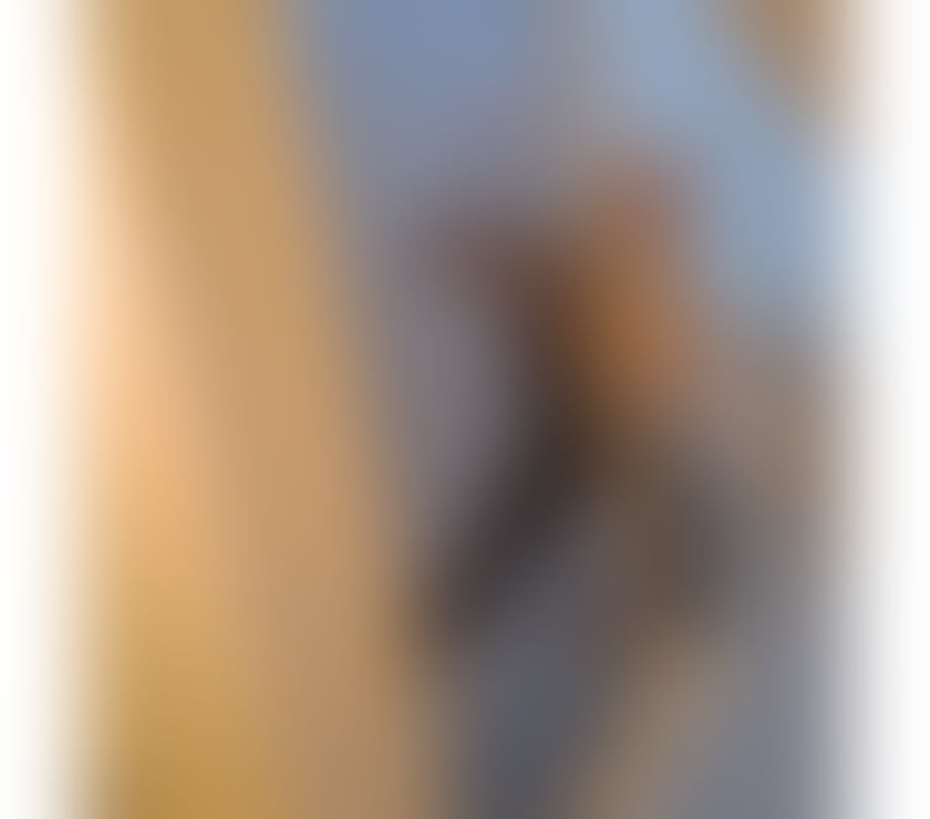 Escorts Tyne and Wear Newcastle upon Tyne - Photos for Lolyta new girl at town 😘🥰