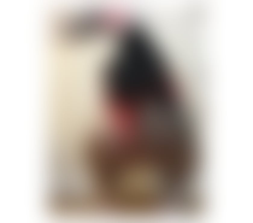 Escorts Aston Birmingham - Photos for 2 TIMES 60£ BEST SERVICE 2 DAYS HERE!!!