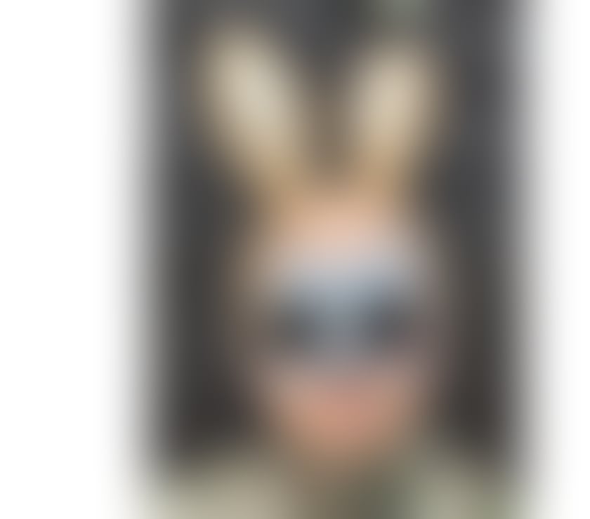 Escorts South Yorkshire Sheffield - Photos for ✨ Luxury Male Escort for Elegant Ladies 💎