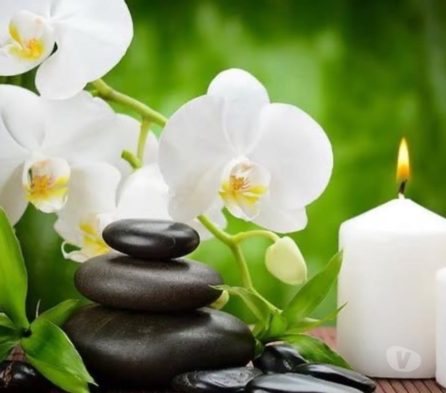 Full body massage Reading Reading Town Centre - Reading - Photos for Comfort & Care Massage Therapist