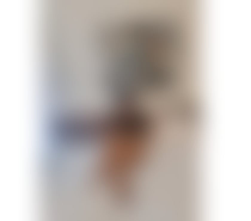 New In Town Rossa Real