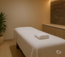 Comfort & Care Massage Therapist