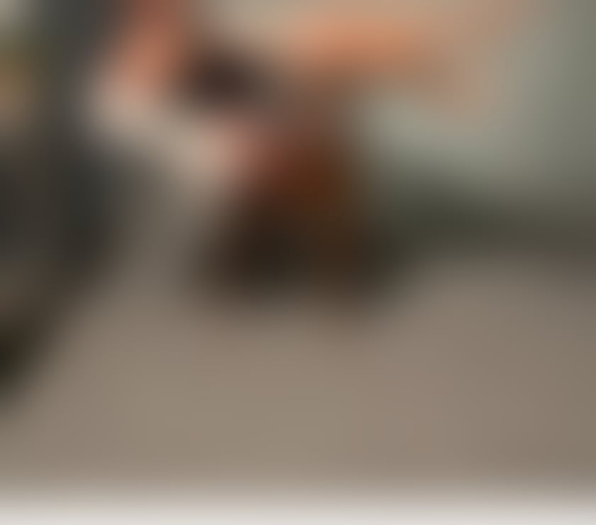 Escorts Glasgow Glasgow City Centre - Glasgow - Photos for RACHELL❤️PARTY GIRL💋NEW IN TOWN🔥🔥🔥