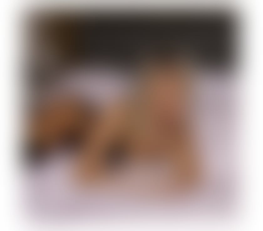 Escorts Derbyshire Chesterfield - Photos for Mira❤️ NEW LUXURY GIRL IN YOUR TOWN❤️