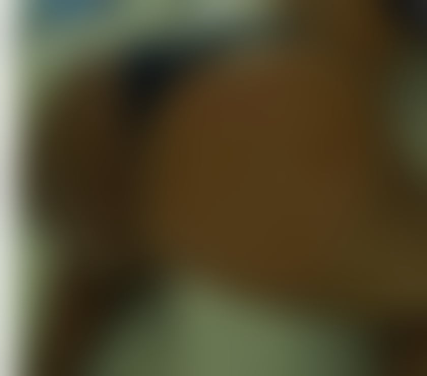 Escorts Greater Manchester Salford - Photos for Eva 🌹 Black African 🖤