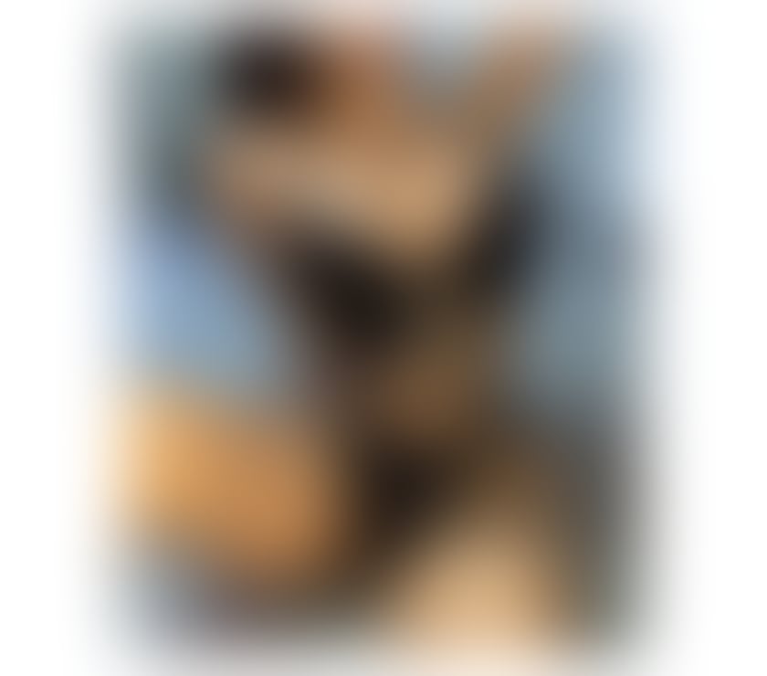  Escorts & Erotic Massage Ipswich Babergh - Photos for new lady in your town