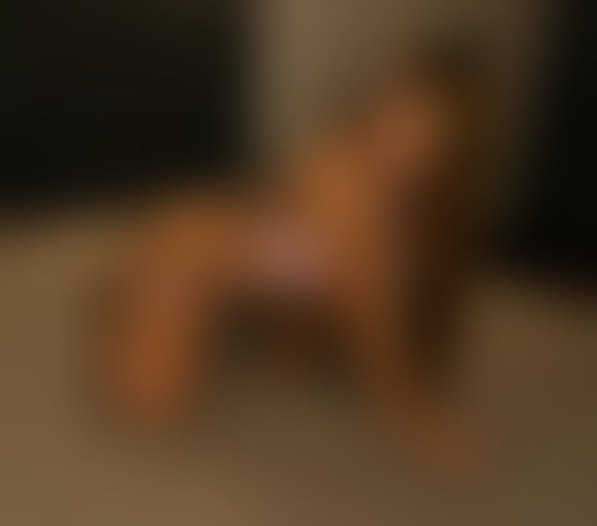 Escort Blackpool Town Centre Blackpool - Photos for ❤️LARA PARTY GIRL❤️BEST SERVICES IN TOWN❤️