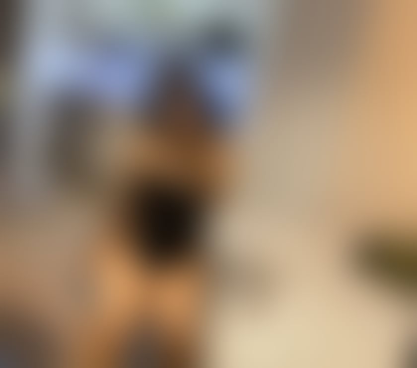 Escorts Devon Exeter - Photos for 🎀Rahela party girl real photo incall-Outcall🎀