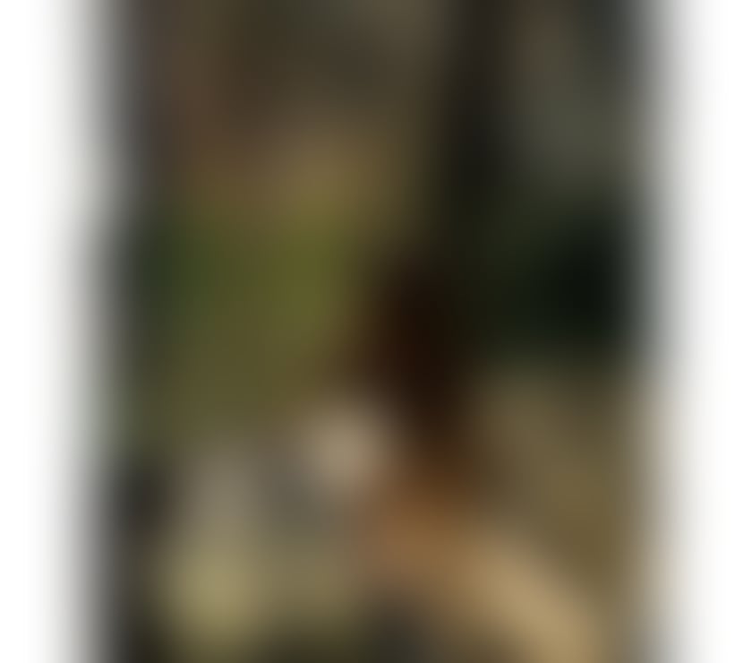 Escorts Cumberland Whitehaven - Cumberland - Photos for Genuine, Flirty & Discreet – Real Beauty💋