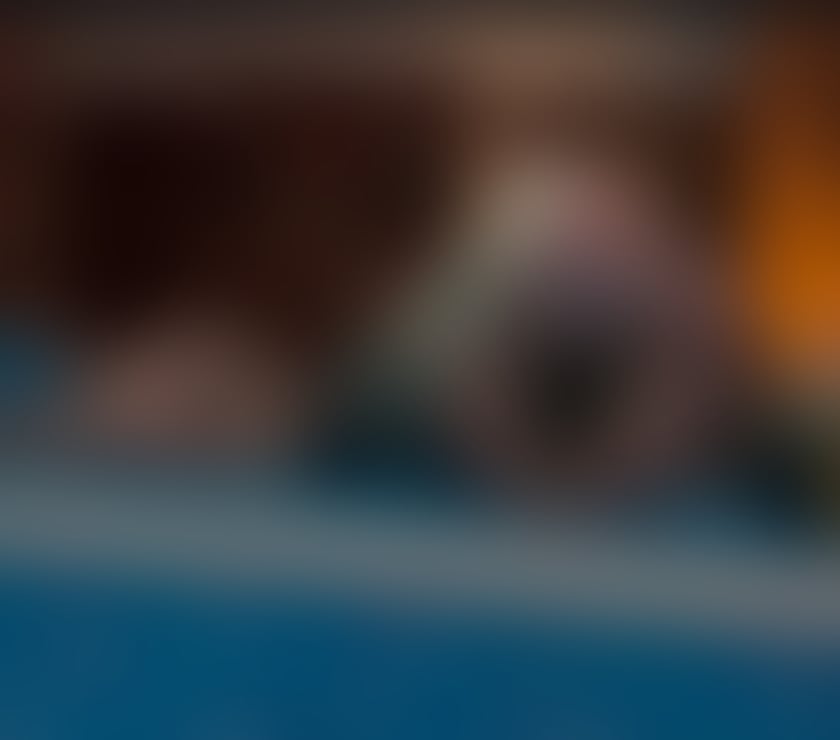  Escorts & Erotic Massage Sunderland City Centre Sunderland - Photos for KIM❌ OUTCALLS ⸻❌ ♦TOP ♦SERVICES♦ 𒐪