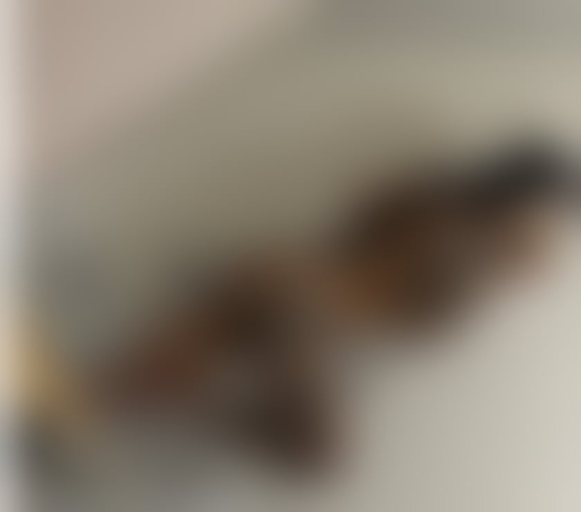 Escorts Essex Chelmsford - Photos for Ruby new girl in town🎉no rush ‼️domination 🔞