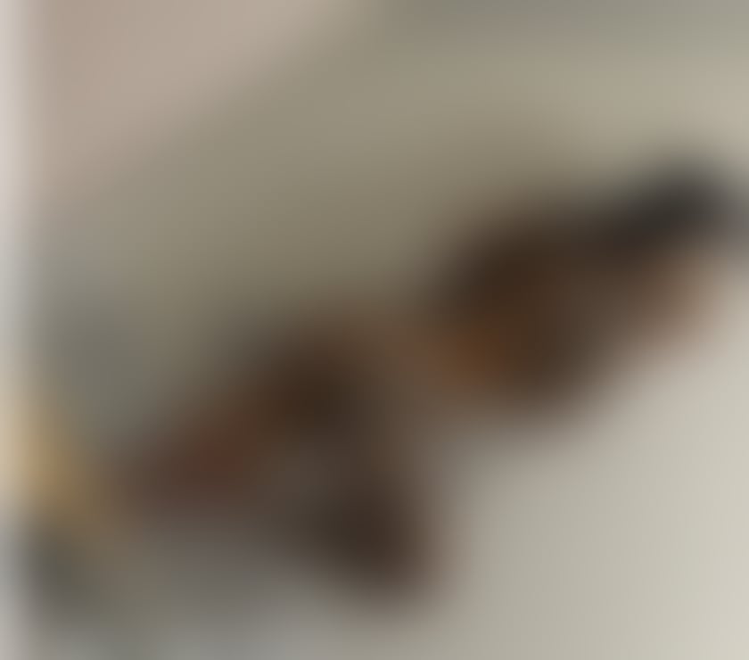 Escorts East London Poplar - East London - Photos for Iris new girl in town‼️party🥂domination🔞