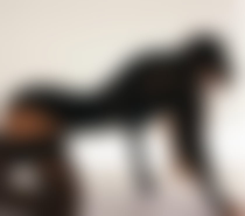 Escorts Greater Manchester Manchester - Photos for New British Isabella 😍😍