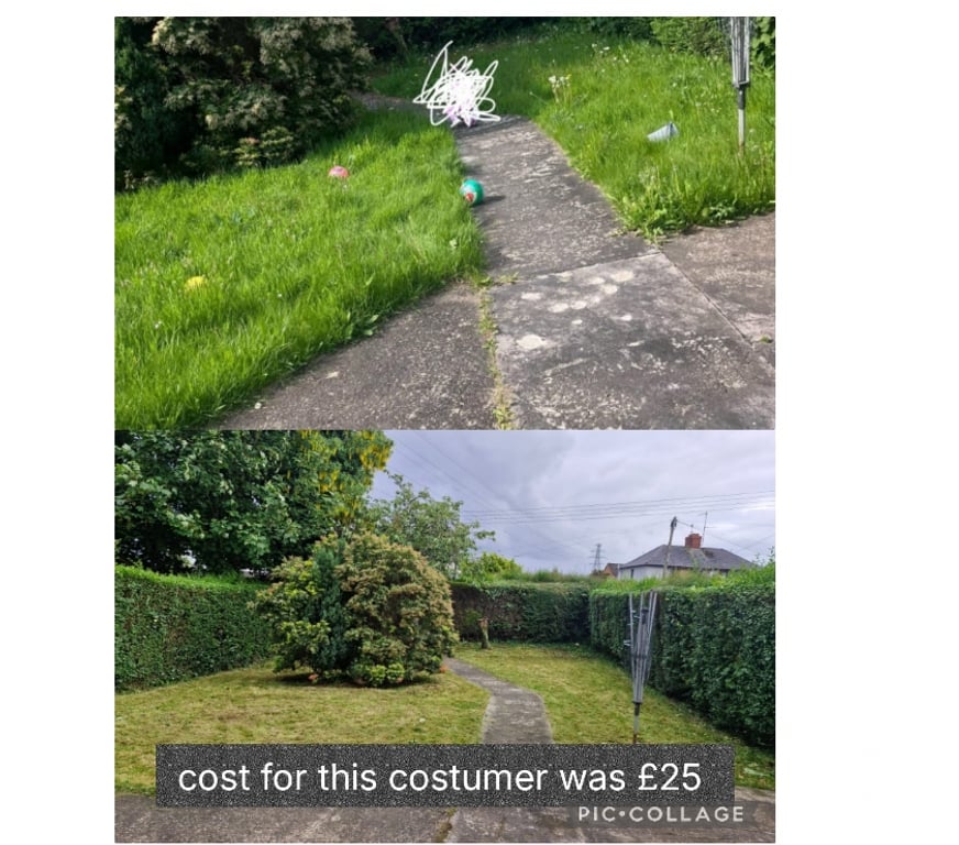 Find a tradesman Belfast Belfast City Centre (South) - Belfast - Photos for Garden Maintenance