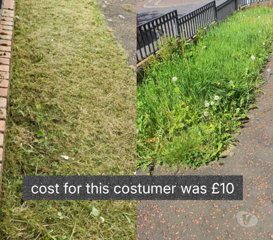 Find a tradesman Belfast Belfast City Centre (South) - Belfast - Photos for Garden Maintenance