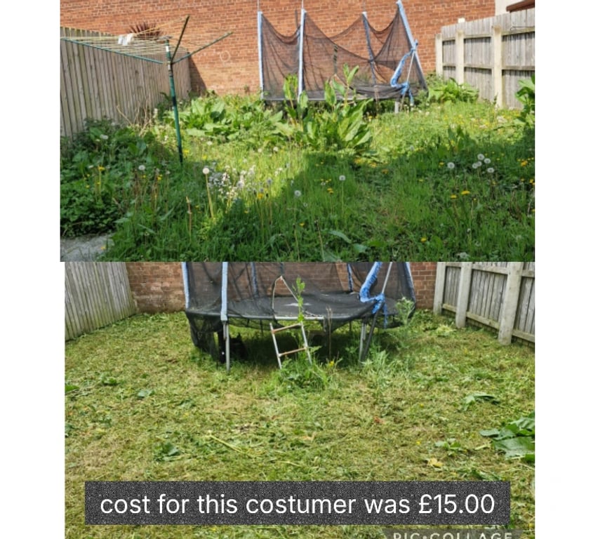 Find a tradesman Belfast Belfast City Centre (South) - Belfast - Photos for Garden Maintenance