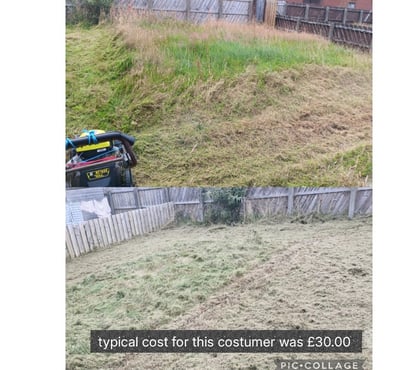 Handyman Belfast City Centre (South) Belfast - Photos for Garden Maintenance