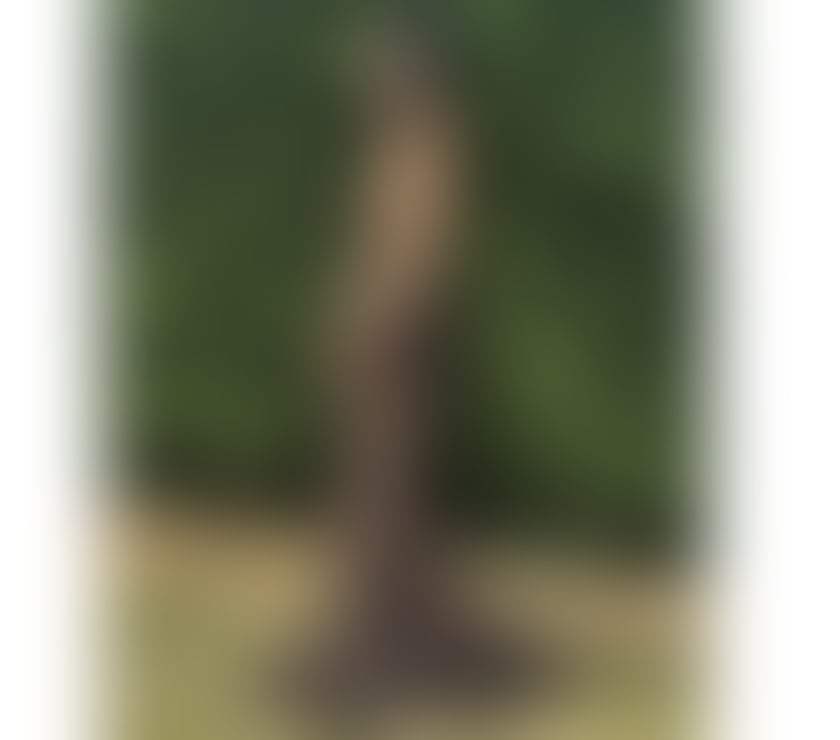 Escorts Lincoln City Centre Lincoln - Photos for Hello. Gentlemen I’m Amanda Thailand 🥰❤️🥰