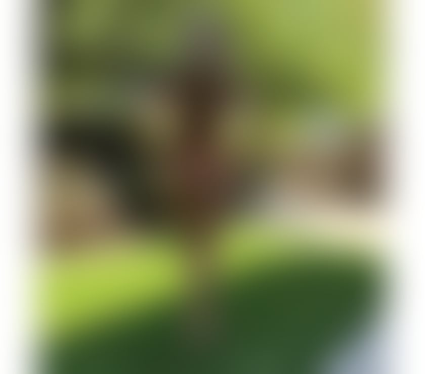 Escorts Essex Thurrock - Essex - Photos for 🆕Blonde🔥Latina🔥💯%Horney📲