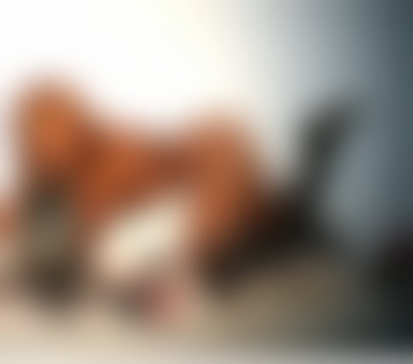 Escorts North London Enfield - Photos for Vale TS ❤️‍🔥 Last week in UK