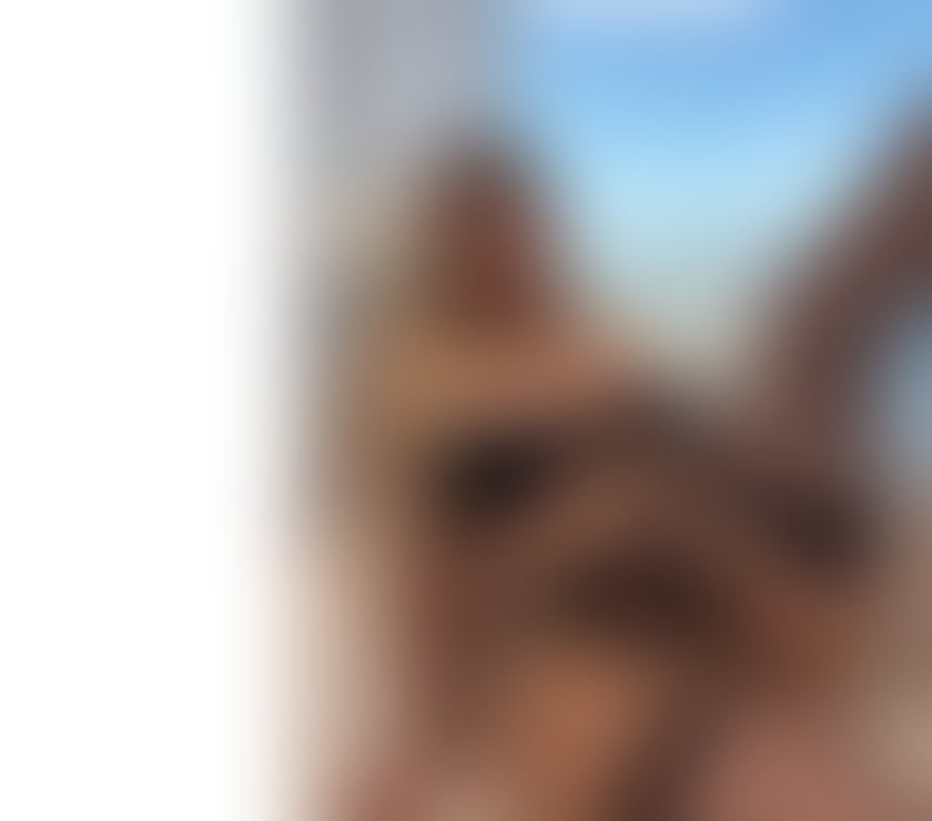 Escorts Somerset Yeovil - Somerset - Photos for I AM YOUR FANTASY🆕💯BEST MOMENTS ❤️❤️BA20 🥰