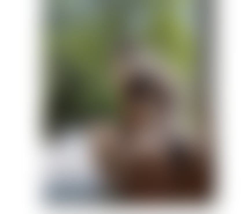 Escorts West Midlands Birmingham - Photos for New în Birmingham party girl 100% real Incall&outcall