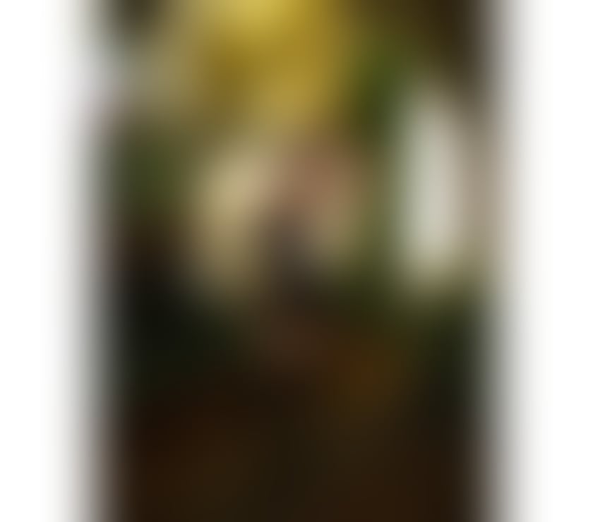 Escorts Tottenham North London - Photos for MEL 🍯 40£ BOM SERVIÇO ❤️‍🔥