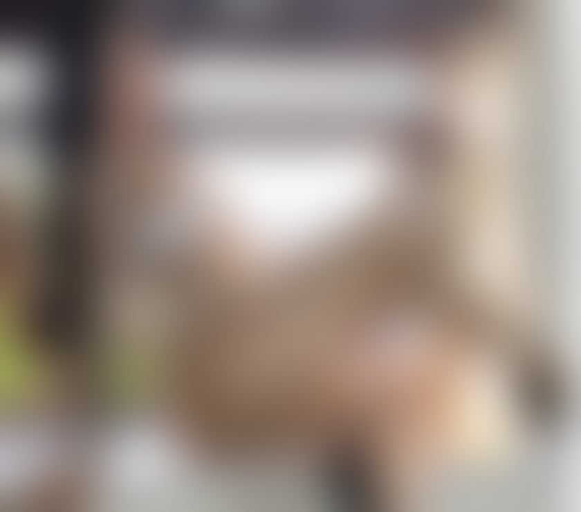  Escorts Cricklewood North West London - Photos for Luana 💎 Sweet Brazilian , Wild Spark💕NEW GIRL