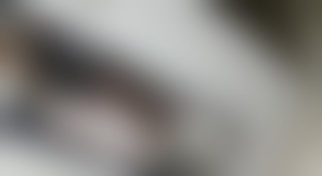 Trans Escorts West Midlands Birmingham - 