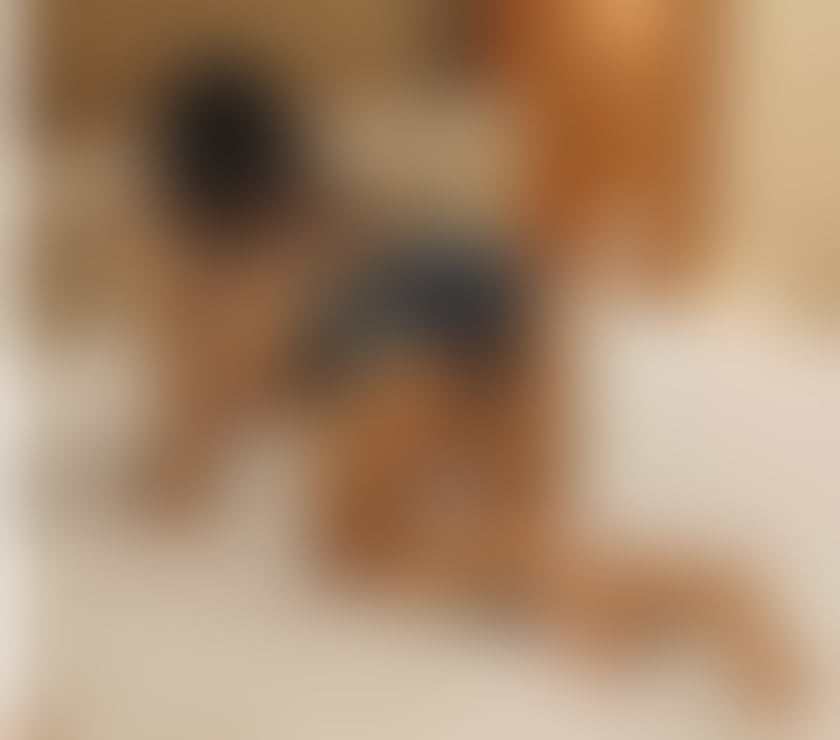 Escorts West Yorkshire Leeds - Photos for BEST SERVICE 🔥 PARTY GIRL🍻 INDEPENDENT KIM