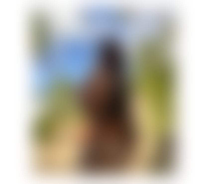 Escorts Lancashire Preston - Photos for BIG-ASS SEXY PARTY GIRL🍑