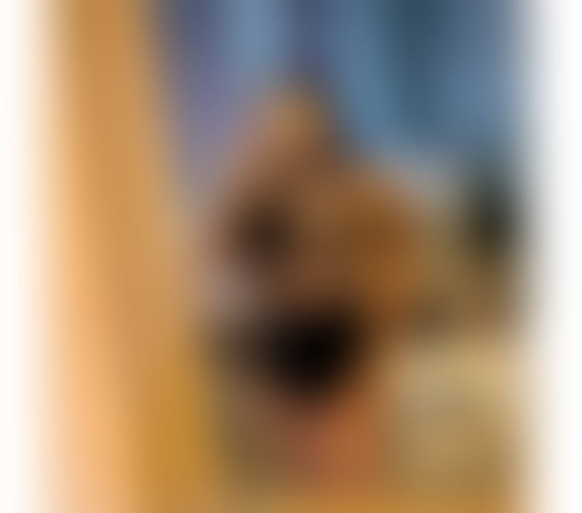 Escorts Buckinghamshire Aylesbury - Buckinghamshire - Photos for YOUR LATINA😈🍑🥂✨