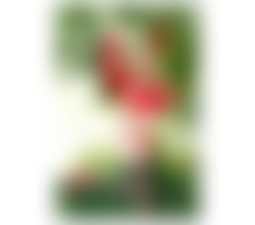 Trans Escorts Glasgow Glasgow City Centre - Glasgow - Photos for TS ELEKTRA, IS HERE MAKE YOUR DEEP DESIRE COME TRUE, GLASGOW