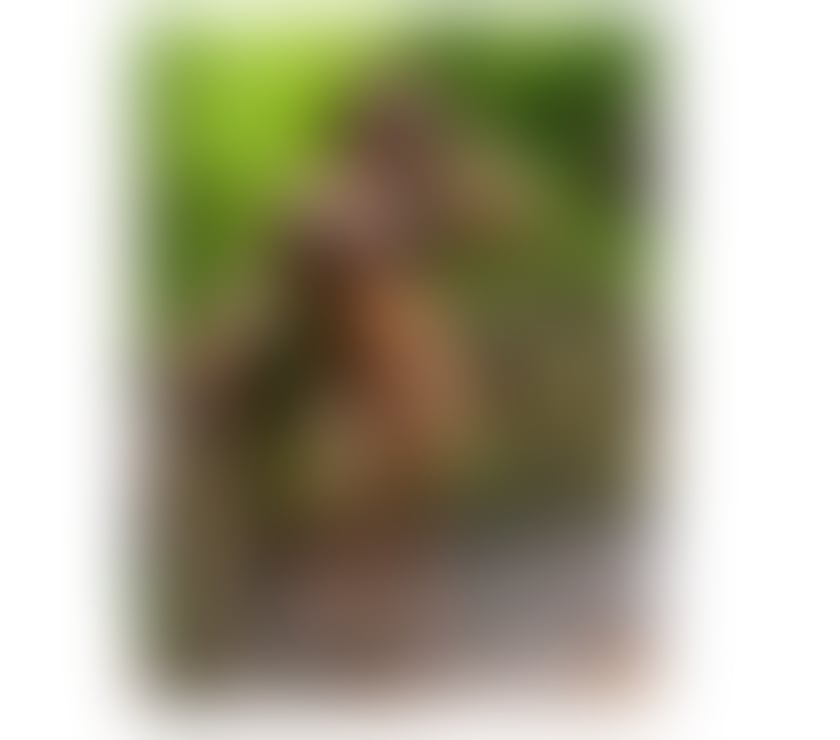 Escorts Greater Manchester Manchester - Photos for SOPHIA🥂🍑 PARTY GIRL🔥