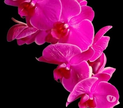  Gay massage Leeds Leeds - Photos for Passionate, Discreet, and Professional – Your Satisfaction