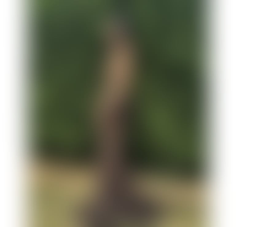 Hello. Gentlemen I’m Amanda Thailand 🔥🔥🔥🔥🔥