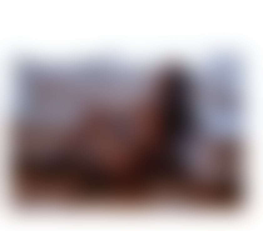 Escorts South Yorkshire Sheffield - Photos for 🖤Kimberly Black Deluxe Transexul 🖤