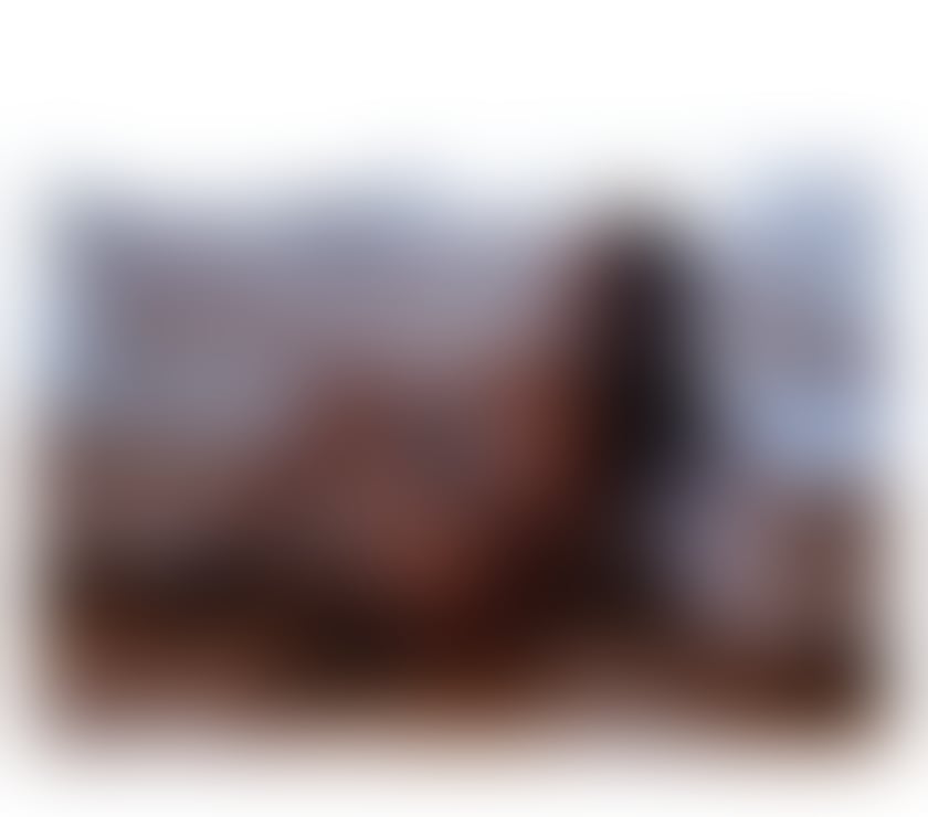 Trans Escorts South Yorkshire Sheffield - Photos for 🖤Kimberly Black🖤 BBC 🖤