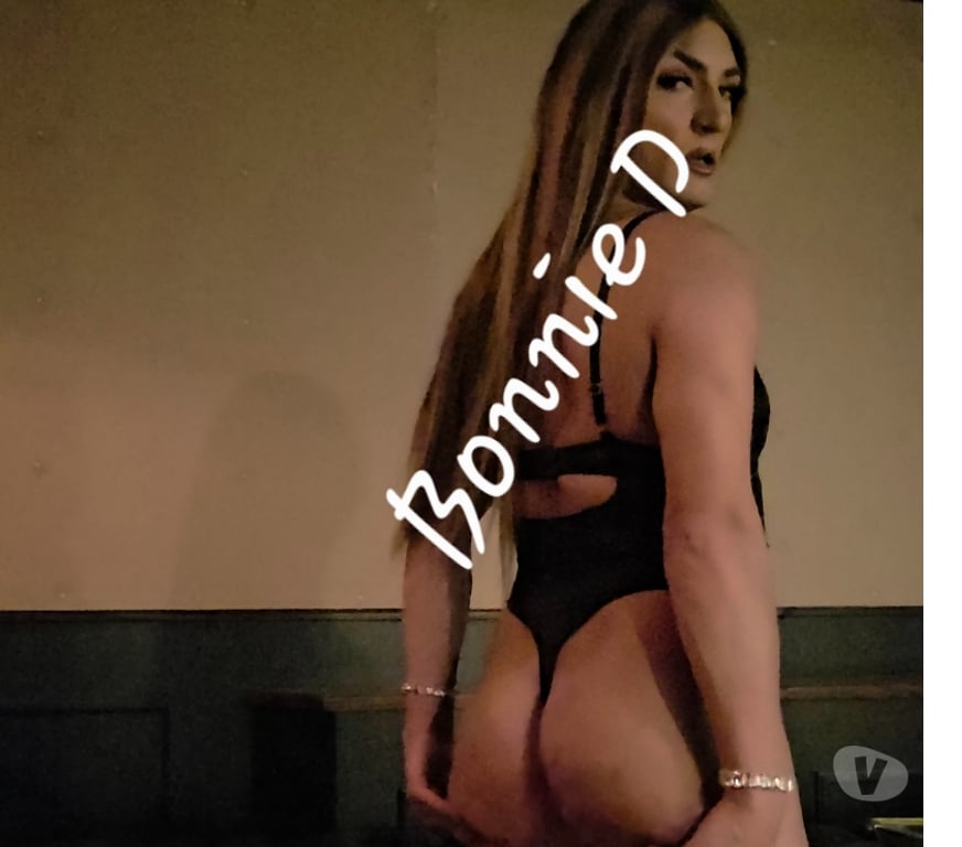 Trans Escorts South Yorkshire Sheffield - Photos for British Bonnie x