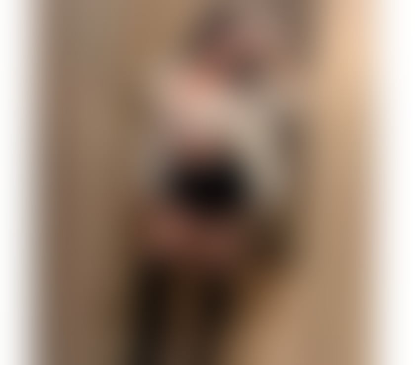  Escorts Sutton Town Centre Sutton - Photos for BRAZILIAN PARTY GIRL🥂🍾FULL SERVICE 😈NEW