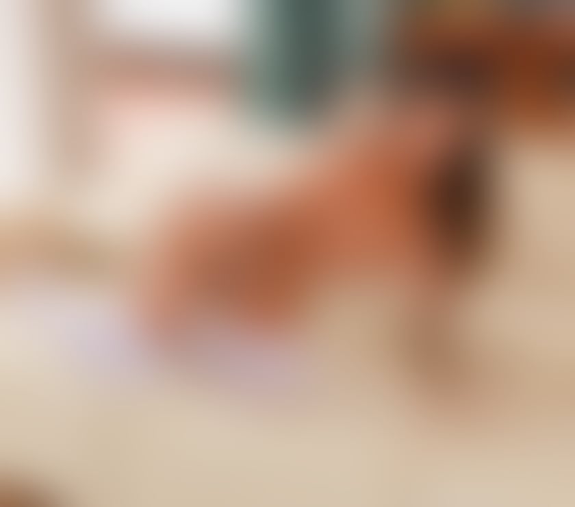 Escorts West London Hillingdon - Photos for 💋💦🔥RENATA GREAT COMPANYY FOR YOU💋💦🔥