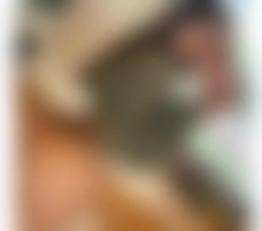 Escorts South Yorkshire Sheffield - Photos for Daniela Just for two days here🥰😋🔥🔥