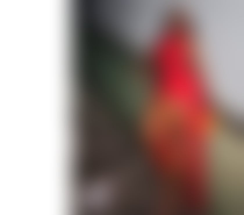 calm and intelligent Spanish woman