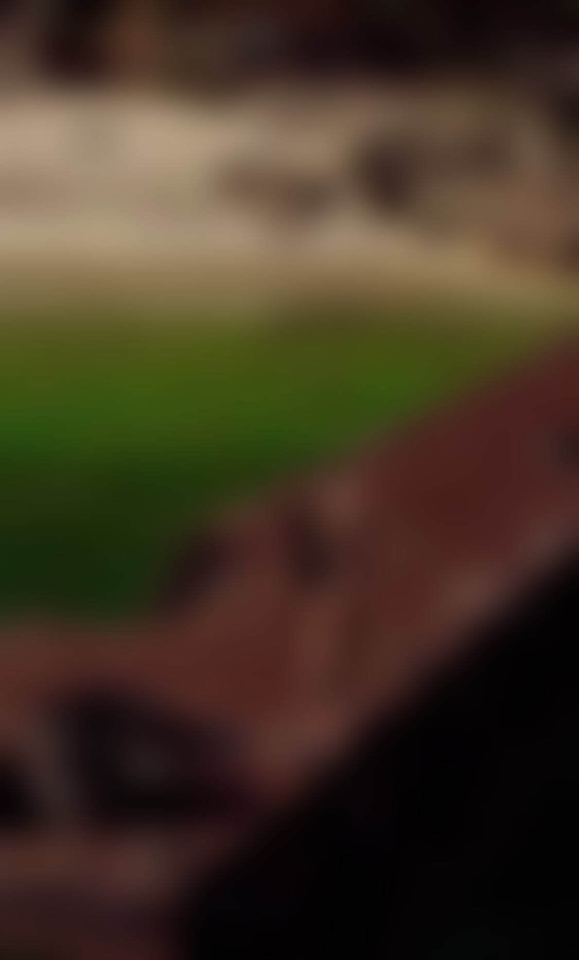 Escorts Cheshire East Crewe - Cheshire East - 