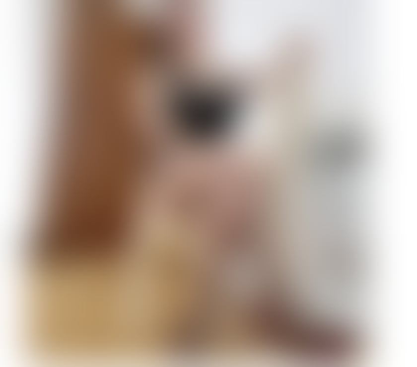 Escorts Devon East Devon - Photos for 🫦thai lady big tits NADA 🫦 real 💯