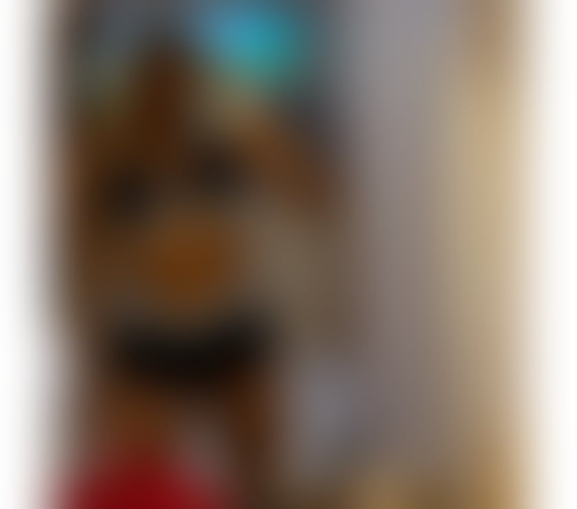 Escorts Cornwall Falmouth - Cornwall - Photos for Blonde Party Brazilian 🔥🔥😘