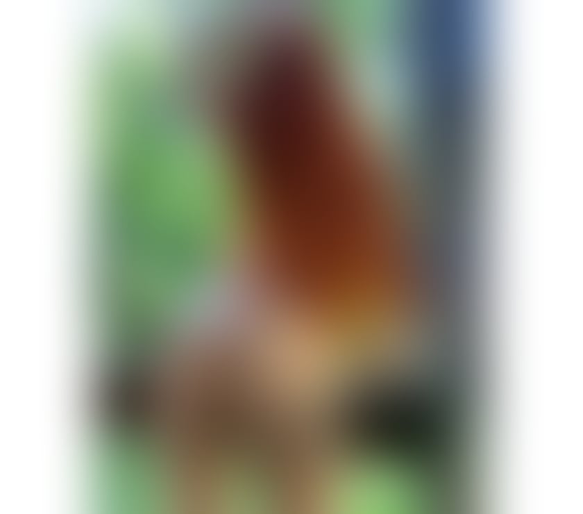 Escorts East London Poplar - East London - Photos for Maya Mariah 🇧🇷Brazilian girl🇧🇷REDHAIR🦊