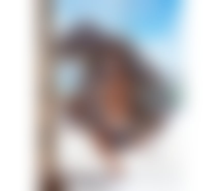 Trans Escorts Staffordshire Stoke-on-Trent - Photos for •🔥 NEW BRAZILIAN LEXA 🔥 HOT TRANS IN STOKE 😈