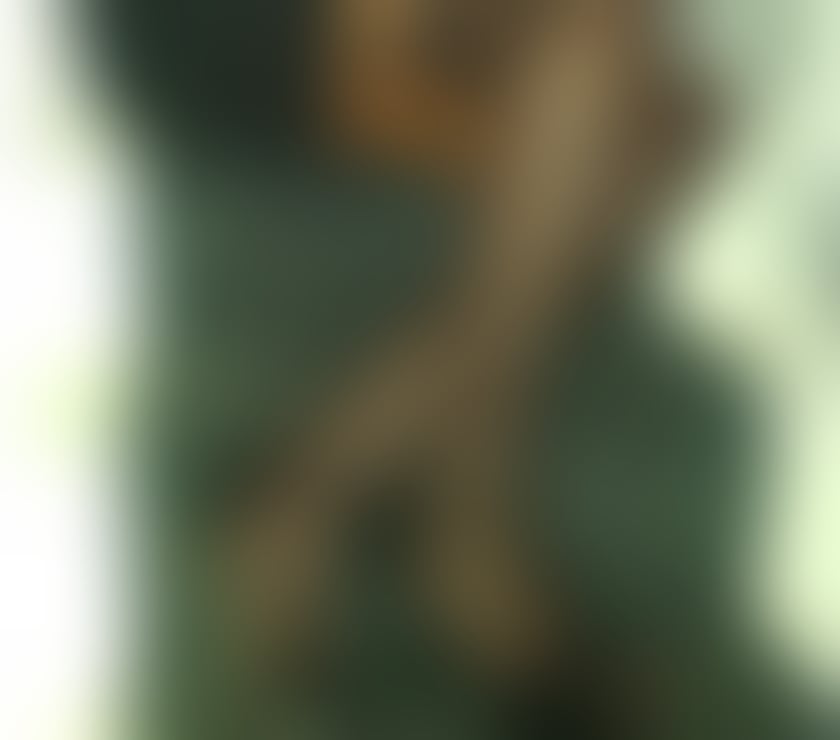 Escorts Cumberland Whitehaven - Cumberland - Photos for AllureK Busty ,Elegant mature Lady